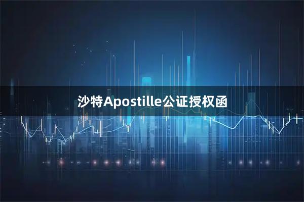 沙特Apostille公证授权函