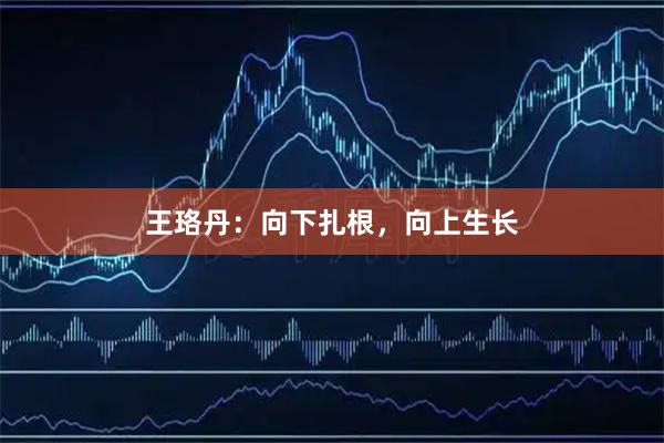 王珞丹：向下扎根，向上生长