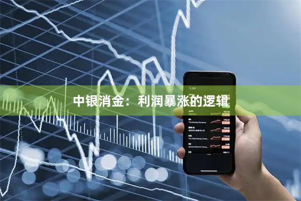 中银消金：利润暴涨的逻辑